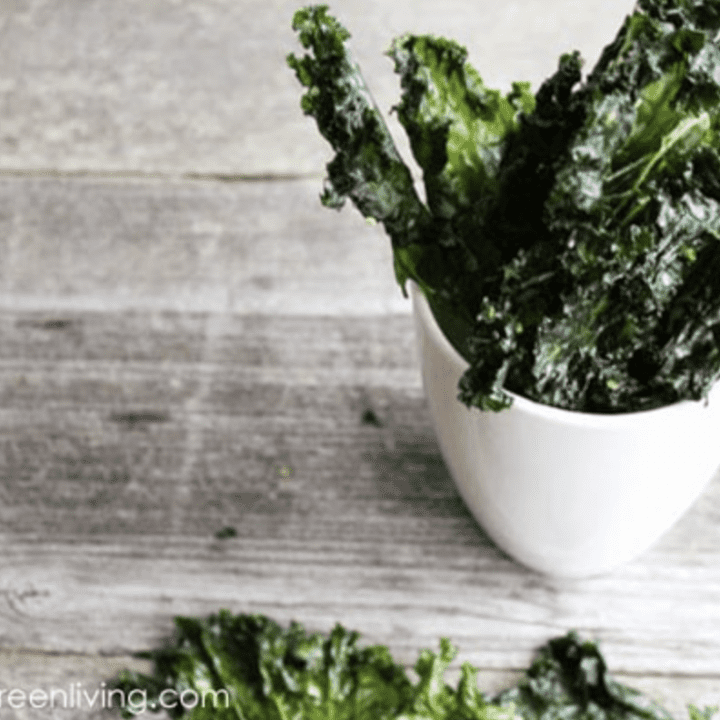 Image for How to Make the Best Salt & Vinegar Kale Chips in Your Dehydrator