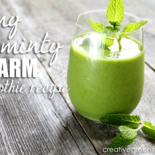 Image for Limy Minty Charm Smoothie Recipe